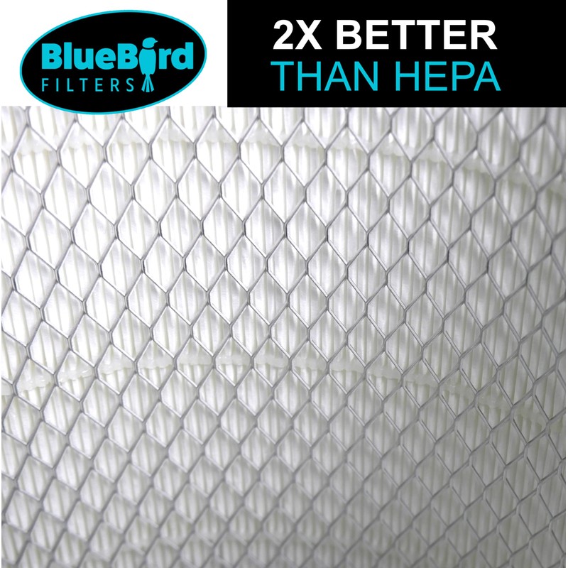 BlueBird Filters Replacement HEPA Filter & Carbon Pre Filter Kit