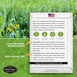 Survival Garden Seeds Oats Cover Crop Seed for Planting - 1 Packet with Instructions to Plant & Grow High Yielding Oats as Cover or Food Crop in Your Vegetable Garden - Non-GMO Heirloom Variety