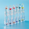 Holzsammlung 6pcs Flower Jelly Lipstick Set Nutritious Moisturizer Lip Balm