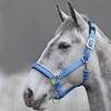 Shires Topaz Nylon Headcollar-Blue Cob