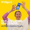 Wellgard Creatine Gummies - Vegan, 3000mg True Dose Creatine Monohydrate