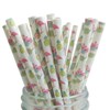 FOREVERIE Flamingo & Pineapple Print Paper Straws for Tropical Party