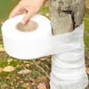 BESPORTBLE 1roll Tree Protector Wrap Breathable Non-Woven for for Fruit