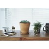 Amabro Art Stone [Black/Small] AMABRO Art Stone (Approx.) Diameter 8.5