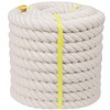 Twisted Cotton Rope (1 inch x 50 feet) Natural White