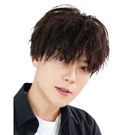 TefuRe MEN-004-N-BLK Men's Short Wig, Spiral, Perm, Curl, Fluffy, Heat Resistant, Full Wig, Men's Dress, Korean, Frosted Fiber, Natural Wig Net Included, Natural Black