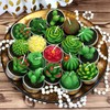 GIFTEXPRESS 18 Pcs Succulent Cactus Candles No Repeat Style, Delicate