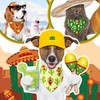 20 Pack Cinco De Mayo Mexico Dog Bandana Adjustable Triangle