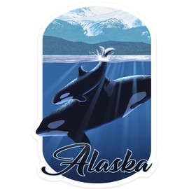 Die Cut Sticker Alaska, Orca and Calf, Vinyl Sticker 3 to 6 inches, (Waterproof Decal for Cars, Water Bottles, Laptops, Coolers), Large