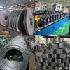 Vigorous Wort Chiller, 1/2" x 50 Ft Food Grade 304