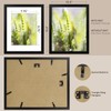 AUEAR, 11x14 Picture Frames Set of 6, with Mat for