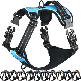 VIVAGLORY Easefit Dog Harness for Walking Hunter & Training, No Choking, Adjustable, Non-Stop, Safe, Anti-Pull Padded, with Handle, Easy Control Handle, S, Blue