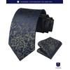 Hisdern TP-01S Men’s Paisley Pattern Necktie and Square Set, Business,