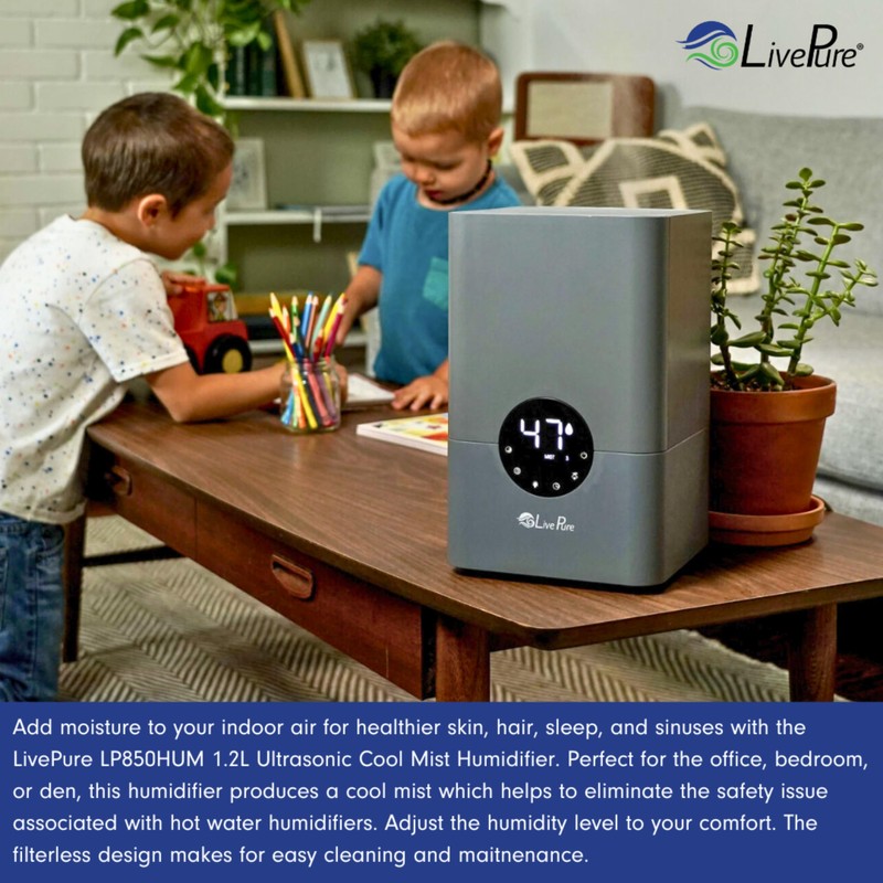 LivePure LP850HUM-G Humidifier, Graphite