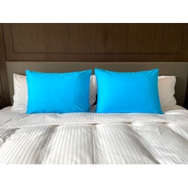 iMaylex Soft 100% Egyptian Cotton Zipper Closure Pillowcases, Cozy and Lightweight Pillow Case, Set of 2, Blue, Queen, 20" x 30"