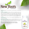 NEW ROOTS HERBAL New Roots Herbal Plant Digestive Enzymes 60