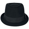 BRIM Hat Black, black