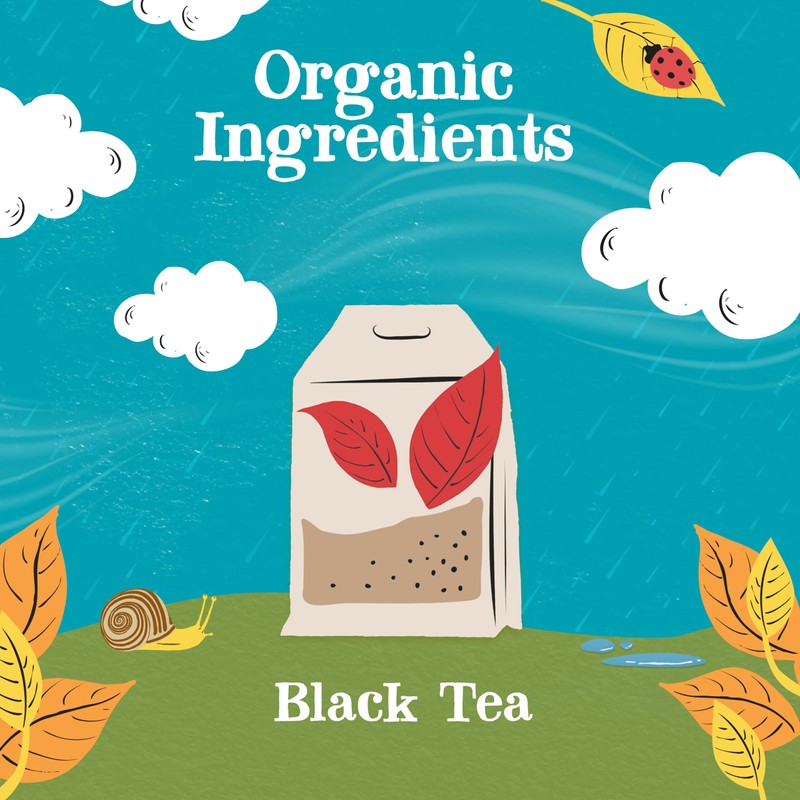 Clipper Organic English Breakfast | Box of 50 Teabags |