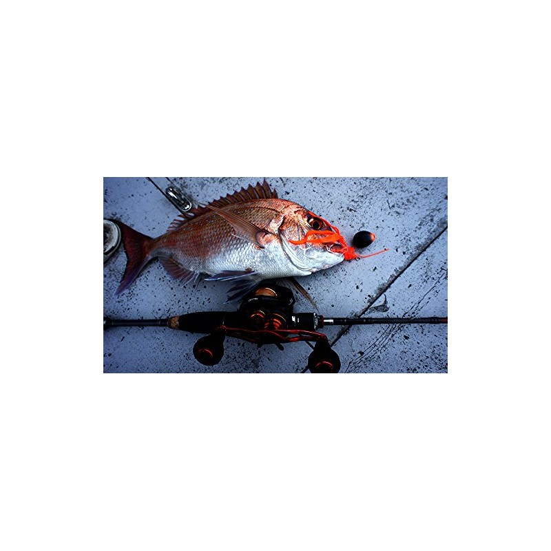 Berkley (Berkeley) Worm Gulp! SW Fogged Trailer 4 inches G2SQKBT4-FO