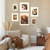 Vittanly 12x12 Picture Frame, Display Pictures 8x8 with Mat or