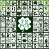 72 PCS 3x3 Inch St. Patrick's Day Stencils for Painting