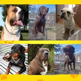 Choke Chain for Dogs,Heavy Metal Training Slip P Link Puppy Choker Martingale Collars for XXS XS Small Medium Large XL Breed Dogs (Silver, L)