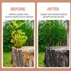 Verdanzia 20 Pcs Copper Nails for Killing Trees, Stumps &