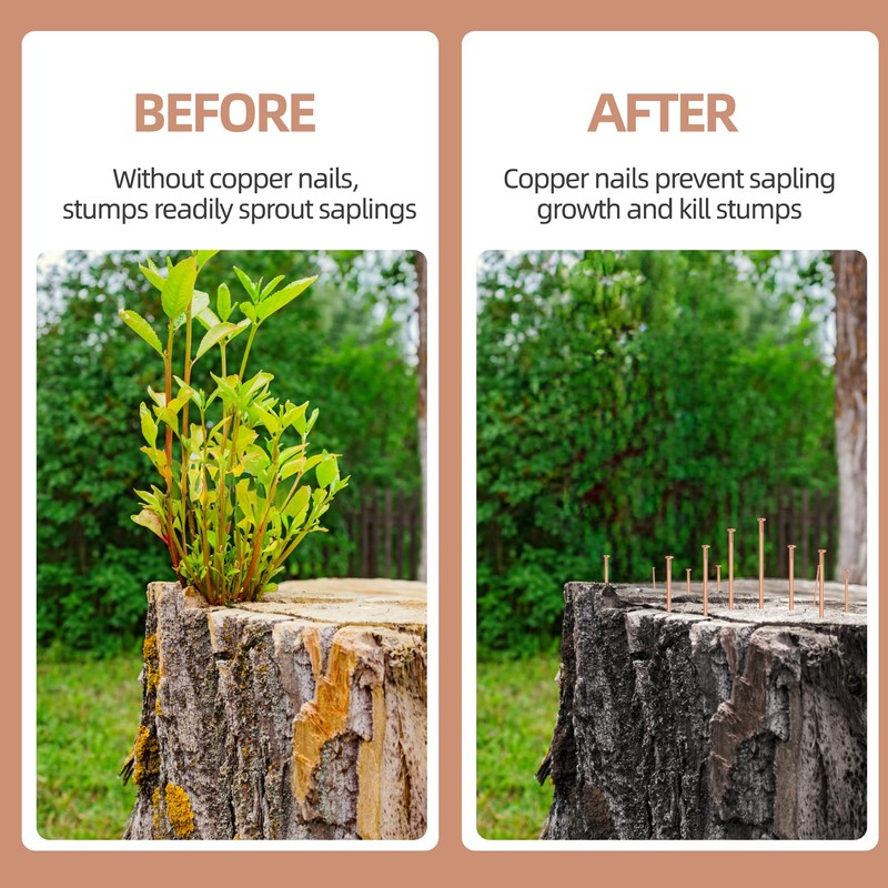 Verdanzia 20 Pcs Copper Nails for Killing Trees, Stumps &
