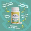 ProBioraPlus (formerly EvoraPlus) Oral Probiotic Mints Support Healthy Teeth and