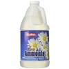 Austin's 00051 Clear Ammonia Multipurpose Cleaner - 64 Ounce