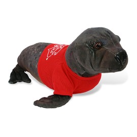 DolliBu I Love You Valentine Plush Sea Lion - Cute Stuffed Animal with Red Shirt and Name Personalization Gift for Valentines Day, Birthday, Anniversary, Romantic Date - 15 Inches