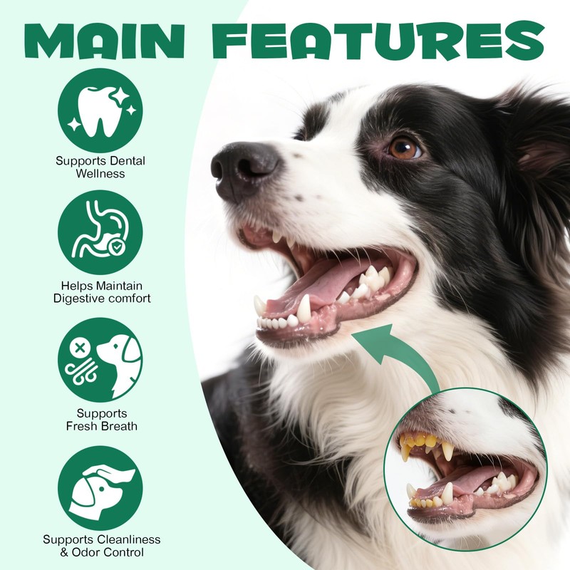 Activated Charcoal for Dogs & Cats – 120g Powder for