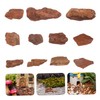 TEHAUX 1 Pack Natural Bark Scenery Materials for Micro Landscape