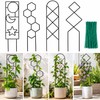 Metal Plant Trellis for Climbing Plants – Decorative Garden Stake