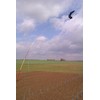 BIRD SCARER/ PEST BIRD DETERRENT