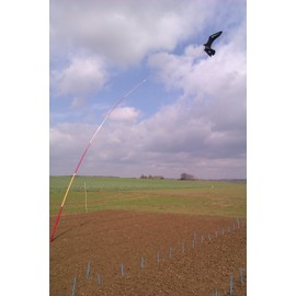 BIRD SCARER/ PEST BIRD DETERRENT