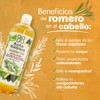 Shampoo Baño Botánico Anticaída 1 Lt