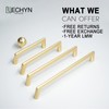 LECHYN 10 Pack 22mm Solid Brushed Gold Kitchen Cabinet Hardware