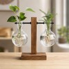 Desktop Hydroponic Plant Propagation Vase with Wooden Stand and 2