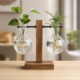 Desktop Hydroponic Plant Propagation Vase with Wooden Stand and 2 Glass Bulbs – Decorative Rooting Station for Home, Office, and Tabletop Décor