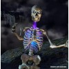 Home Accents Holiday 12 Ft Skeleton LED Home Accents Holiday