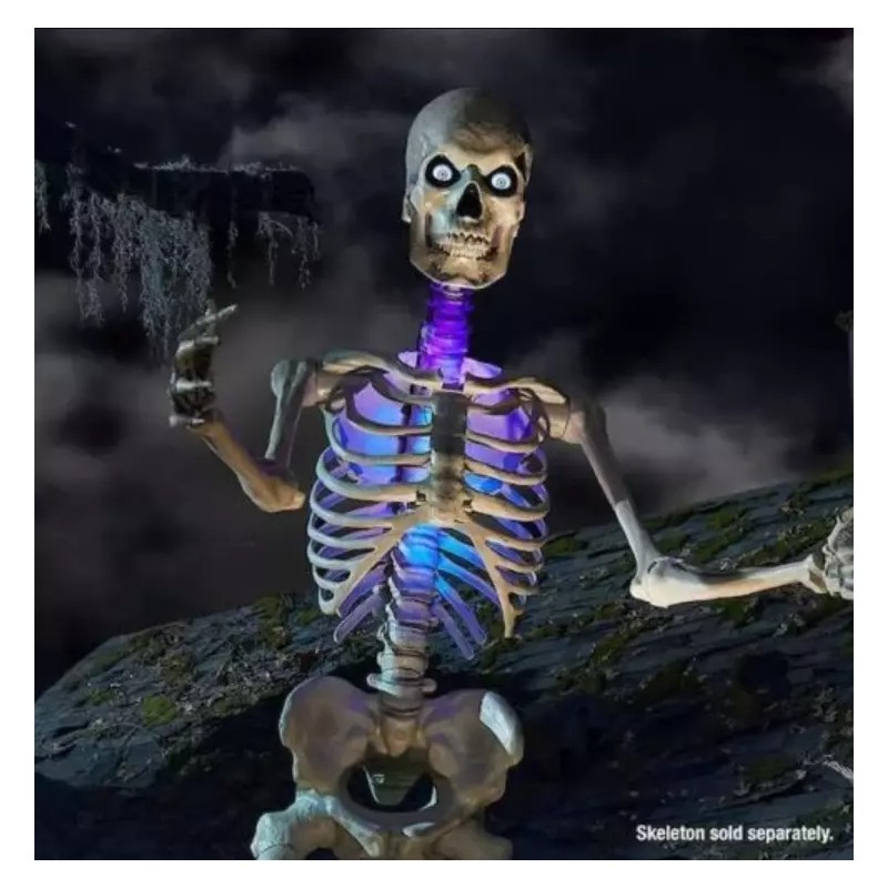 Home Accents Holiday 12 Ft Skeleton LED Home Accents Holiday