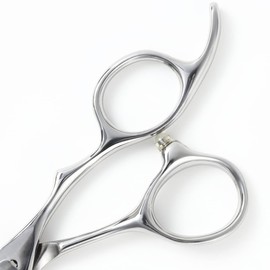 [axis] YR Scissor 6.0 Inch Hairdresser Hair Cutting Scissors in Japan