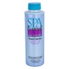 Spa Essentials 32612000-02 Water Clarifier, 1-Pint, 2-Pack
