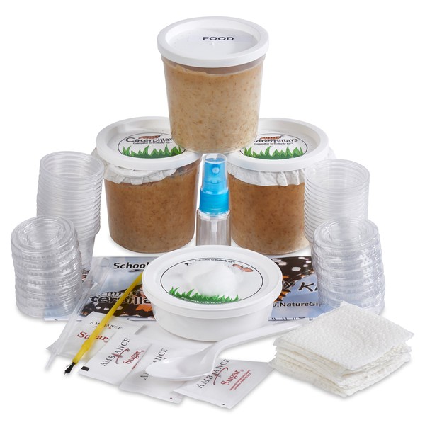 Nature Gift Store 32 Live Caterpillars Shipped Now: Butterfly Kit Refill for School Sized Kit with Extra Larva Rearing Supplies