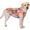 Paipeper Dog Lightweight Mesh Shirt,Quick Dry Breathable Mesh Clothes,Dogs Summer