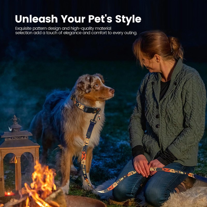 PawView Dog Collar & Leash Set with Smart ID Tag