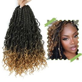 Boho Crochet Braids With Curly Ends-Crochet Box Braids Crochet Hair for black women Goddess Box Braids Boho Braids Crochet Hair Pre Looped (10(8Packs), 1B/27#) …