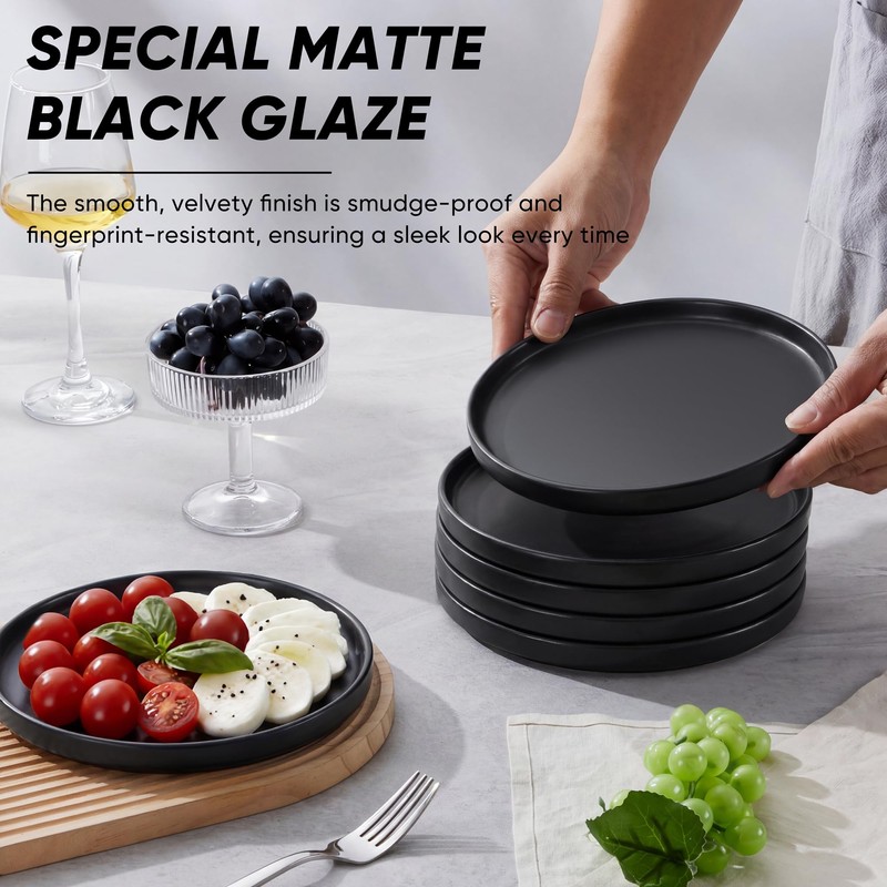 E-far 7.9 Inch Ceramic Dinner Plates, 6-Piece Stoneware Salad Plates