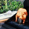 bremermann 2 x Chicken Grillers with Poultry Scissors 3-Piece Set